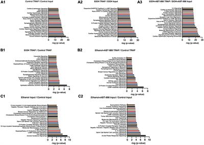 Effects of alcohol and PARP inhibition on RNA ribosomal engagement in cortical excitatory neurons